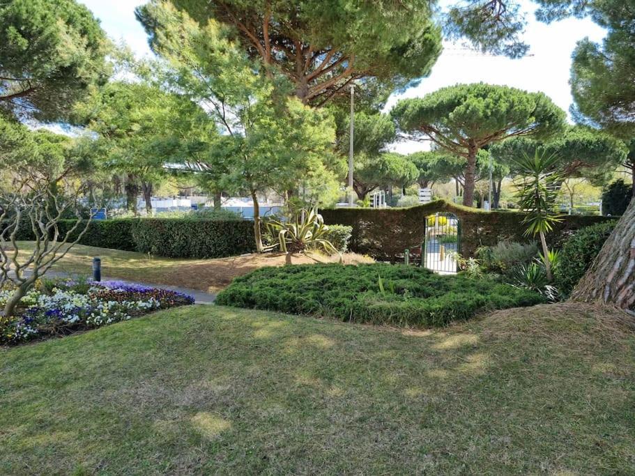 Superbe T2 Tout Confort 3 Etoiles, Entierement Renove Avec Piscine, Parking, Clim, Wifi, Netflix La Grande-Motte Eksteriør bilde