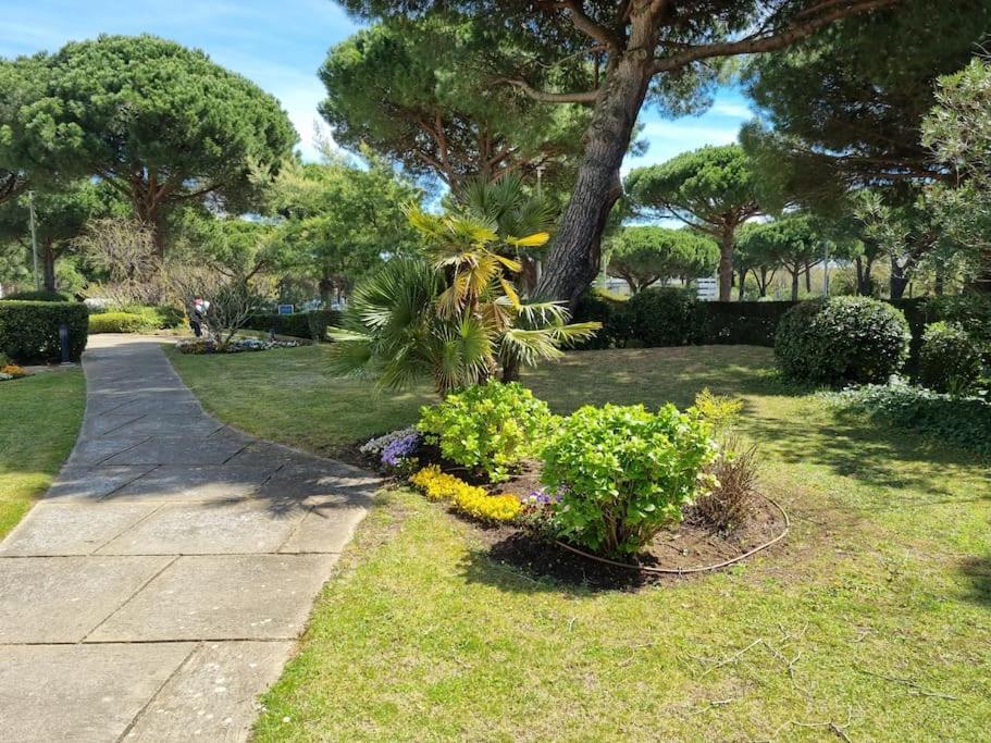 Superbe T2 Tout Confort 3 Etoiles, Entierement Renove Avec Piscine, Parking, Clim, Wifi, Netflix La Grande-Motte Eksteriør bilde